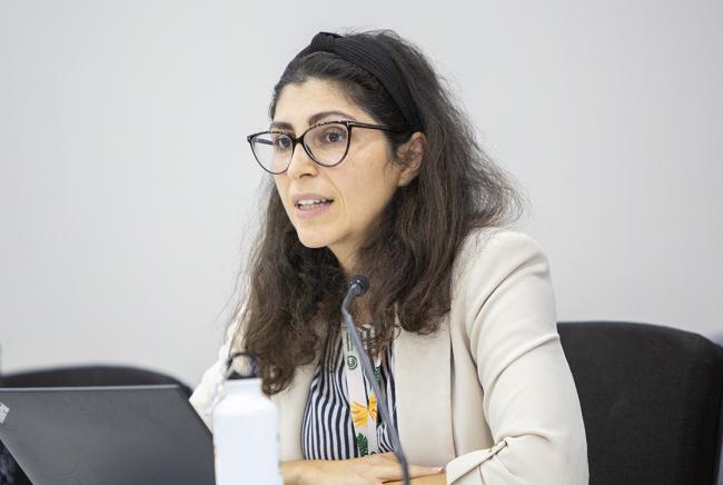 Bahareh Seyedi, Senior Sustainable Energy and Climate Advisor, UNDESA - Unlocking Climate-SDG Synergies - COP30 - 13 Nov 2025.