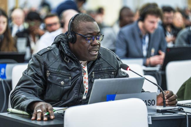 CITES COP20