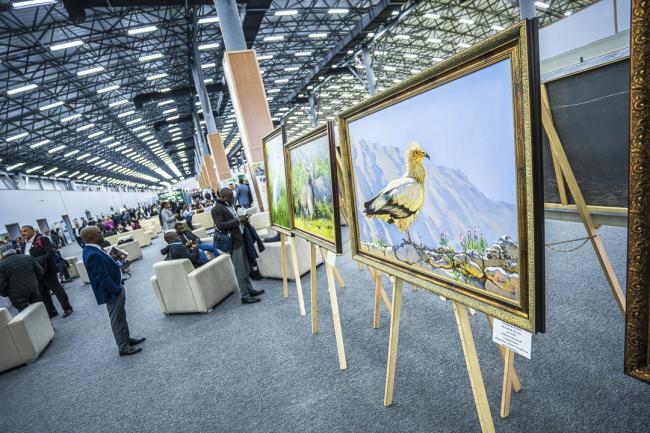 CITES COP20