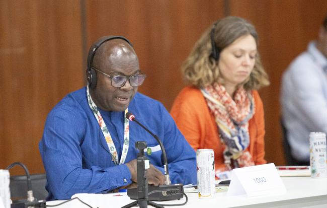 Bitang Bamazi, Director General, National Institute for Agricultural Training of Tové (Togo -Ministerial FAST+CCAC-19Nov2025