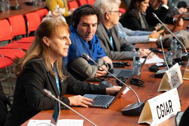 CGIAR_ITPGRFA_GB11_24th_AndresC-101587