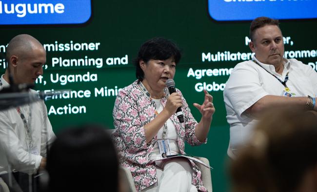 Chizuru Aoki, Manager, Multilateral Environmental Agreements and Funds Division, Global Environmental Facility (GEF) - Accelerating the legacy of Rio - COP30 - 15Nov