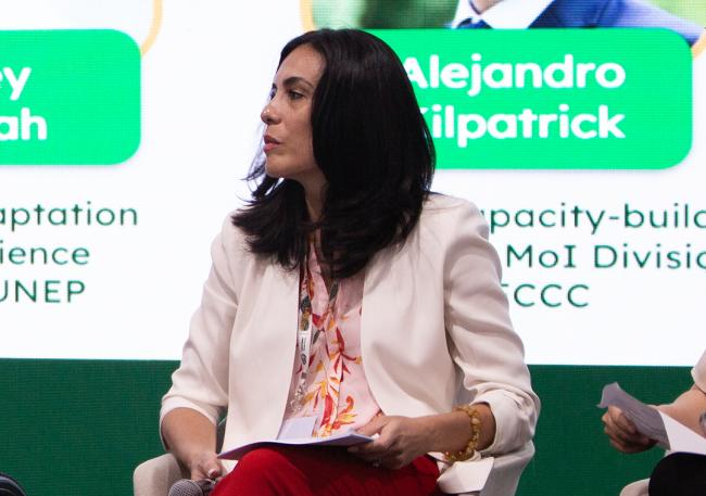Claudia Ortiz, Lead – Climate Strategies, NDC, and Transparency, UN Development Programme (UNDP) Accelerating the legacy of Rio - COP30 - 15Nov