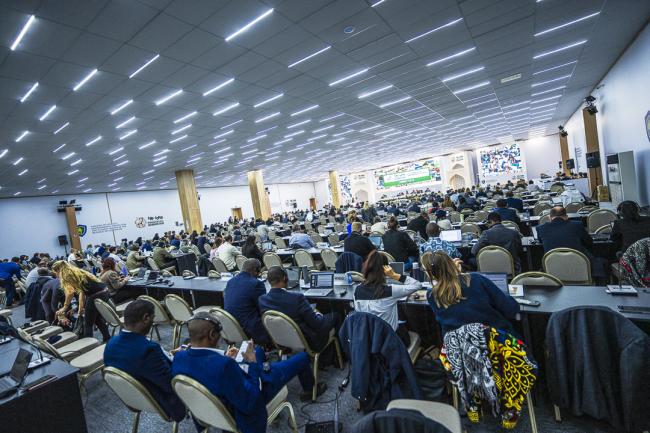 CITES COP20