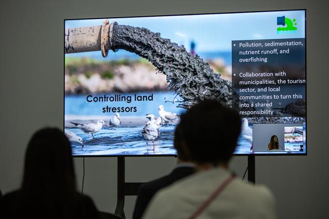 Controlling land stressors - Delta-COP30-19Nov 2025