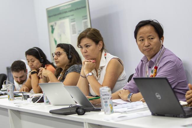 Dais 4 - Recognition of indigenous Peoples in NDCs - COP30 - 12 Nov 2025