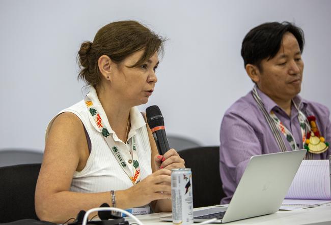 Daria Egereva, co-chair of the IIPFCC- Recognition of indigenous Peoples in NDCs - COP30 - 12 Nov 2025