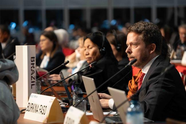  Name Delegate Brazil_ITPGRFA_GB11_24th_AndresC-200930