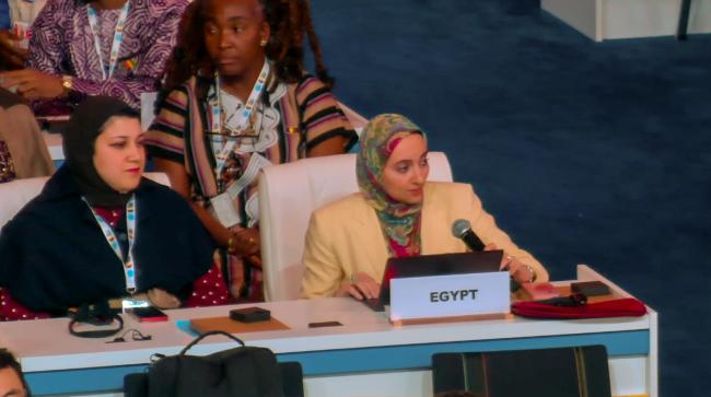 Delegation of Egypt_2ndWSSD_6Nov2025_AndresC_Web 8