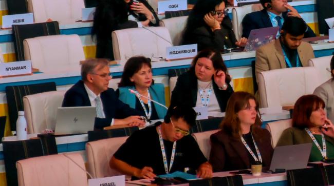 Delegation of Lithuania_2ndWSSD_6Nov2025_AndresC_Web