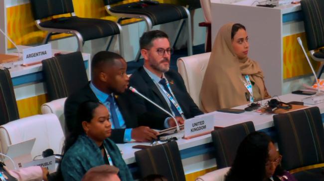 Delegation of United Kingdom_2ndWSSD_6Nov2025_AndresC_Web