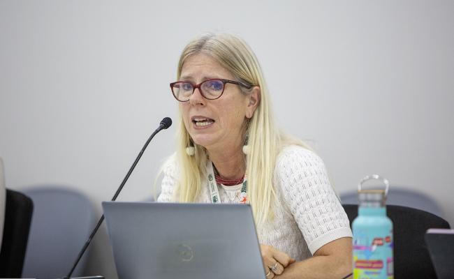 Diana Ürge-Vorsatz, Vice-Chair, IPCC, and Professor, CEU - Unlocking Climate-SDG Synergies - COP30 - 13 Nov 2025