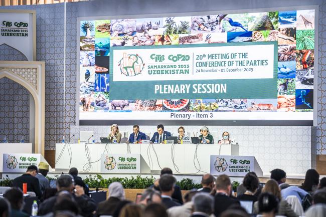 CITES COP20