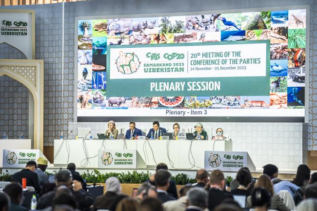 CITES COP20