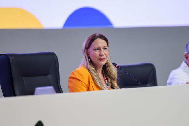 Ethel Maciel, COP30 Special Envoy for Health