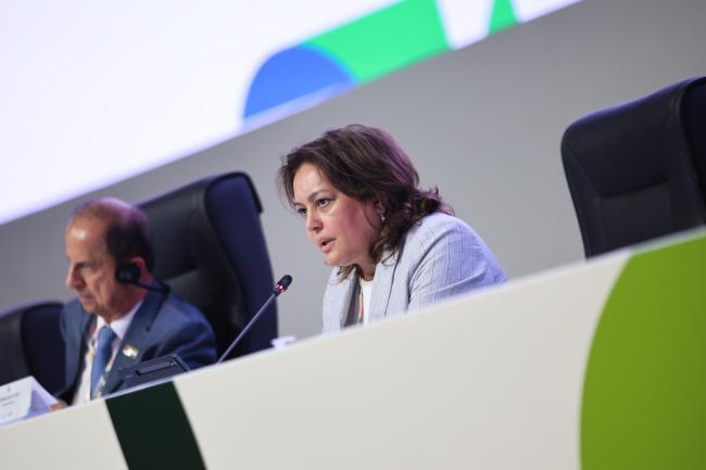 Umayra Taghyeva, COP29, Azerbaijan 