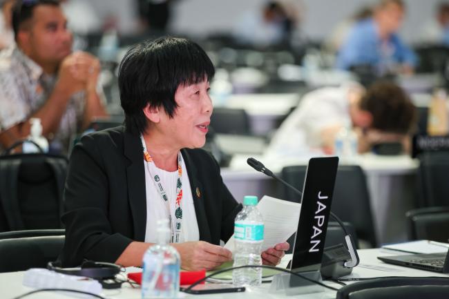 Naoko Yamamoto, Japan