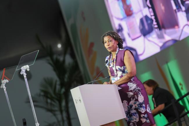 Moderator Marise Nogueira, Head of the Special Advisory Office for International Affairs, Ministry of Health of Brazil 