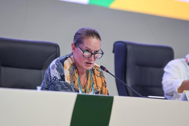 Valerie Hickey, Global Director, Climate Change, World Bank 