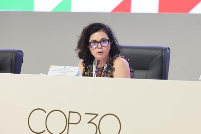 María Soledad Bos, IDB 
