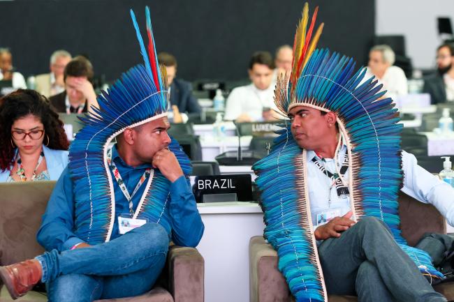 Participants