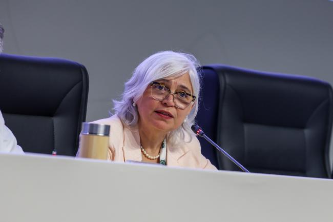 Agnes Soares, Director, Environmental Health Surveillance and Occupational Health, Brazil