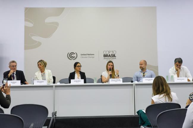 A view of the panel on the role of non-state actors in project development 