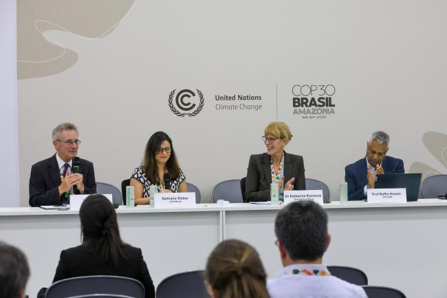 A view of the panel during Panel 1 on the role of non-state actors in technology transfer 