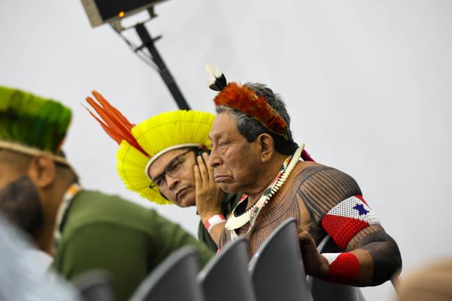 participants 
