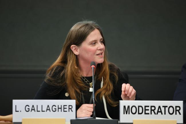 Louise Gallagher, Global Centre for Mineral Security, Sustainable Minerals Institute, University of Queensland 