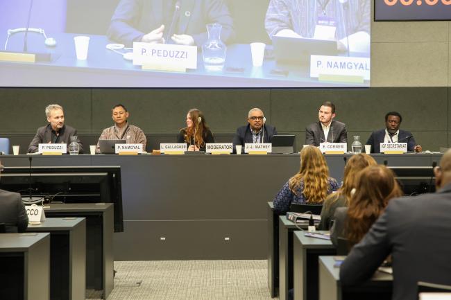 View of the panel during Session 4