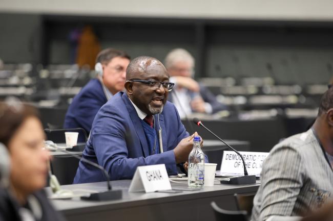 Jean Jacques Kayembe Mufwankolo, Democratic Republic of Congo 