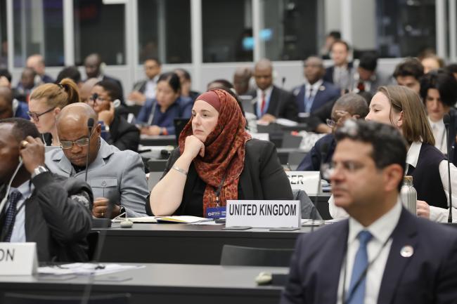 Delegates during the session 