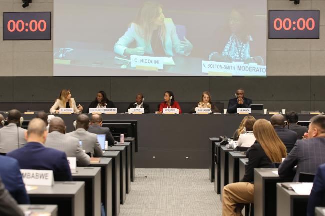 A view of the panel 