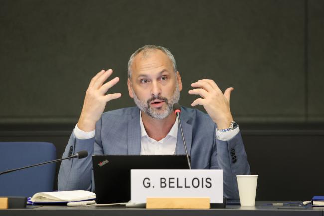 Grégoire Bellois, Lead, Critical Minerals and Geology, IGF 