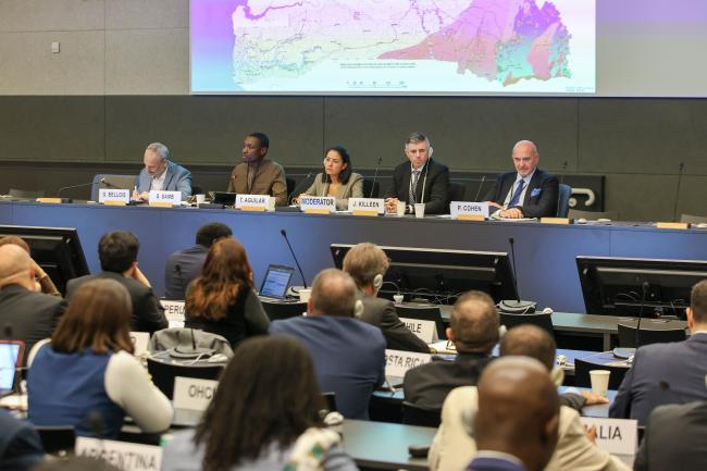A view of the panel during Session 2