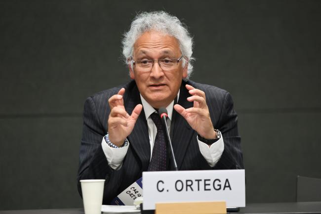 Carlos Ortega, National Mining Agency, Colombia 