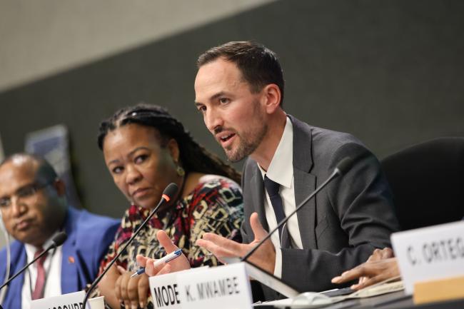 Thomas Lassourd, Lead, Tax and Extractives, IGF 
