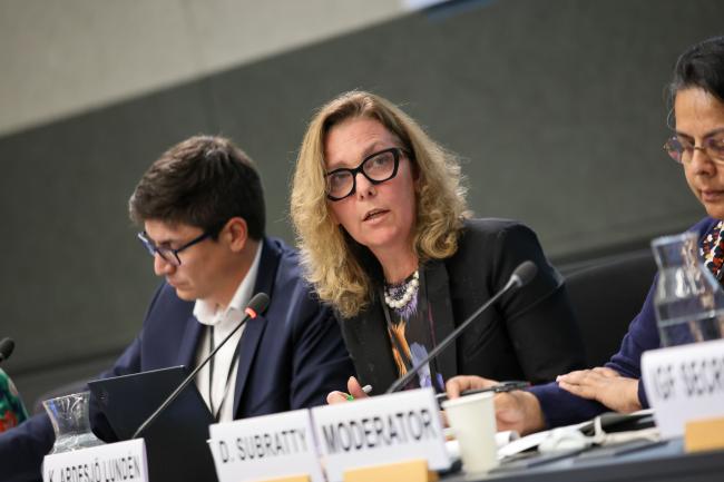 Karolina Ardesjö Lundén, Head, Swedish Environmental Protection Agency 