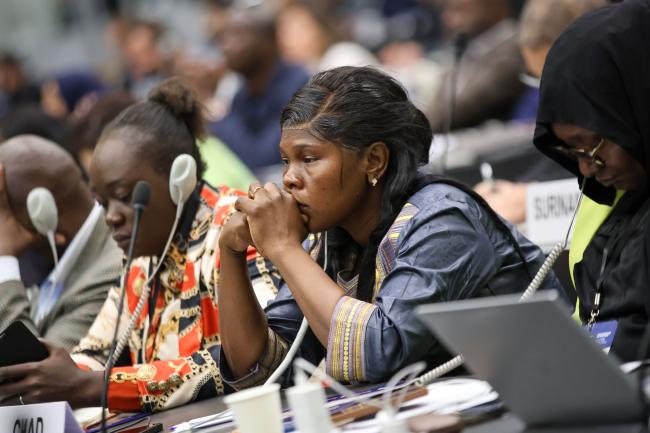 Delegates listen to the presentations 