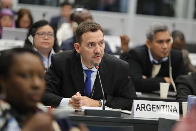 Pablo Bergese, Argentina