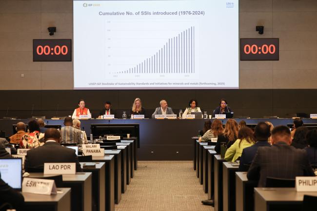 A view of the panel during Session 5 | Sustainability Standards and Producing Countries: From impact to agency 