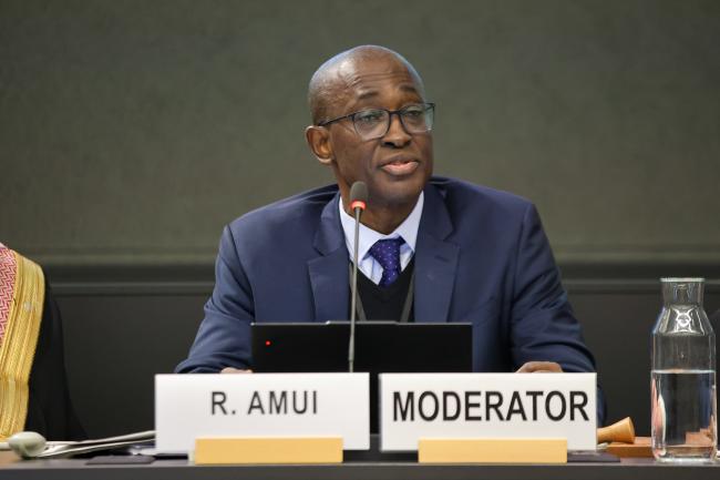 Rachid Amui, UN Trade and Development 