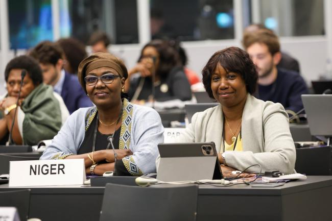 Delegates from Niger 