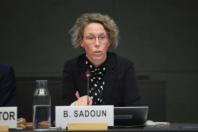 Britta Sadoun, Director of Social Impact, AMG Critical Minerals 