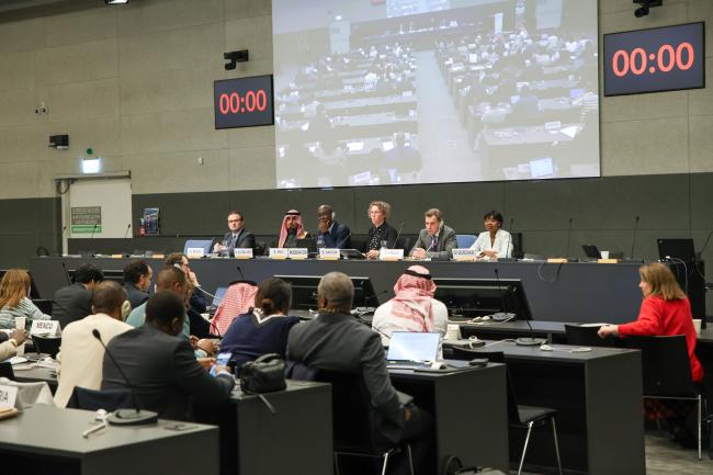 A view of the panel during Session 6