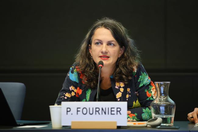 Perrine Fournier, Fern 
