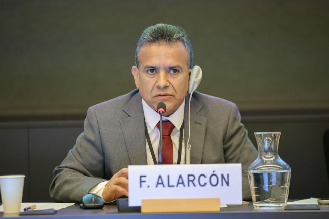 Fernando Alarcón, Chief Executive Officer, AFS Engineering & Consulting, Peru