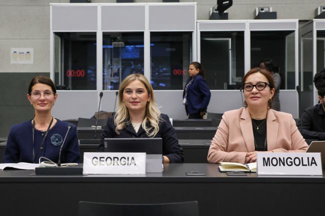 Delegates from Georgia and Mongolia 
