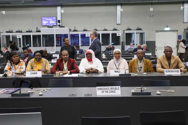 Delegates from Chad, Mali and Burkina Faso 